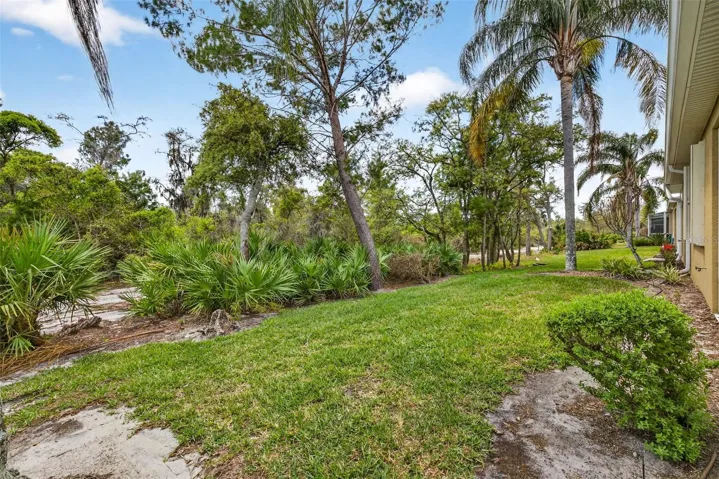 Back yard backs to Little Manatee River Park