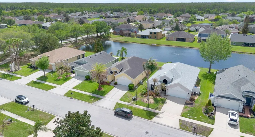 aerial view with pond