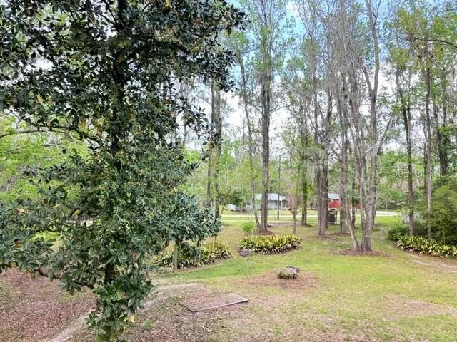 Tree House - View From Bedrooms