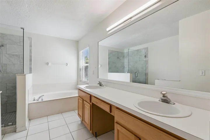 Primary Bathroom (Downsairs)