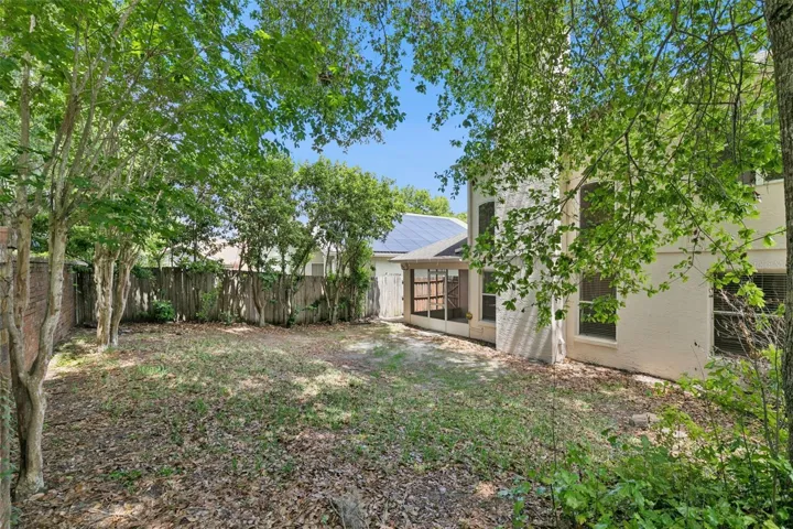 Back Yard
