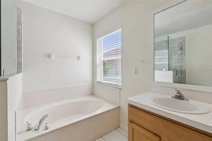Primary Bathroom (Downstairs)