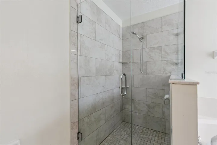 Primary Bathroom Shower (Downstairs)