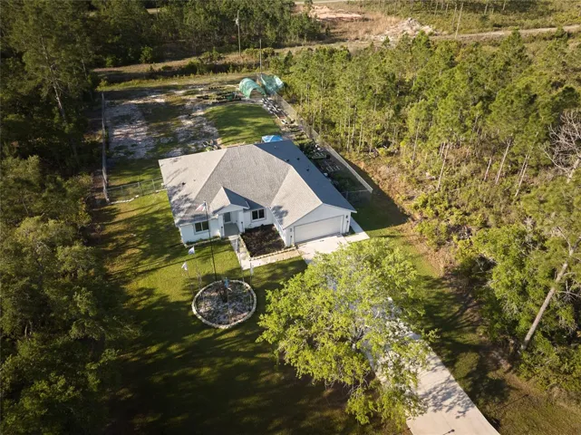 DRONE VIEW FROM ABOVE PALM AVE