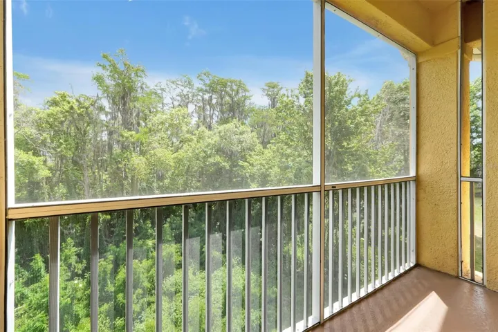 #29: Porch View #2