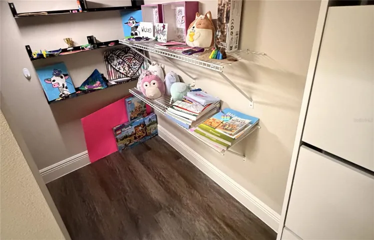 Storage/secret space under the stairs