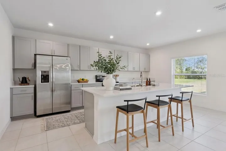 Extended Island and Gormet Kitchen