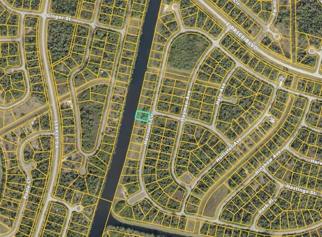 Neighborhood