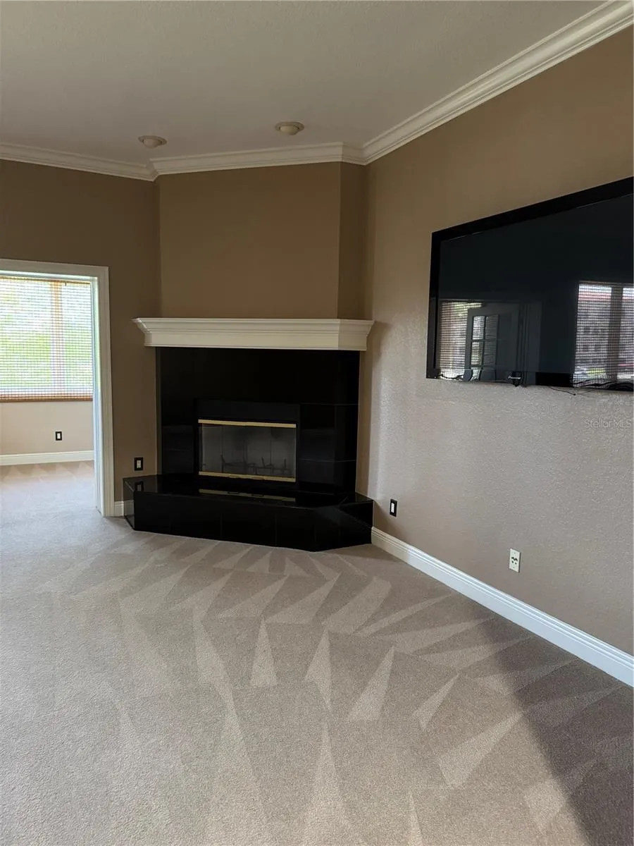 Master Fireplace
