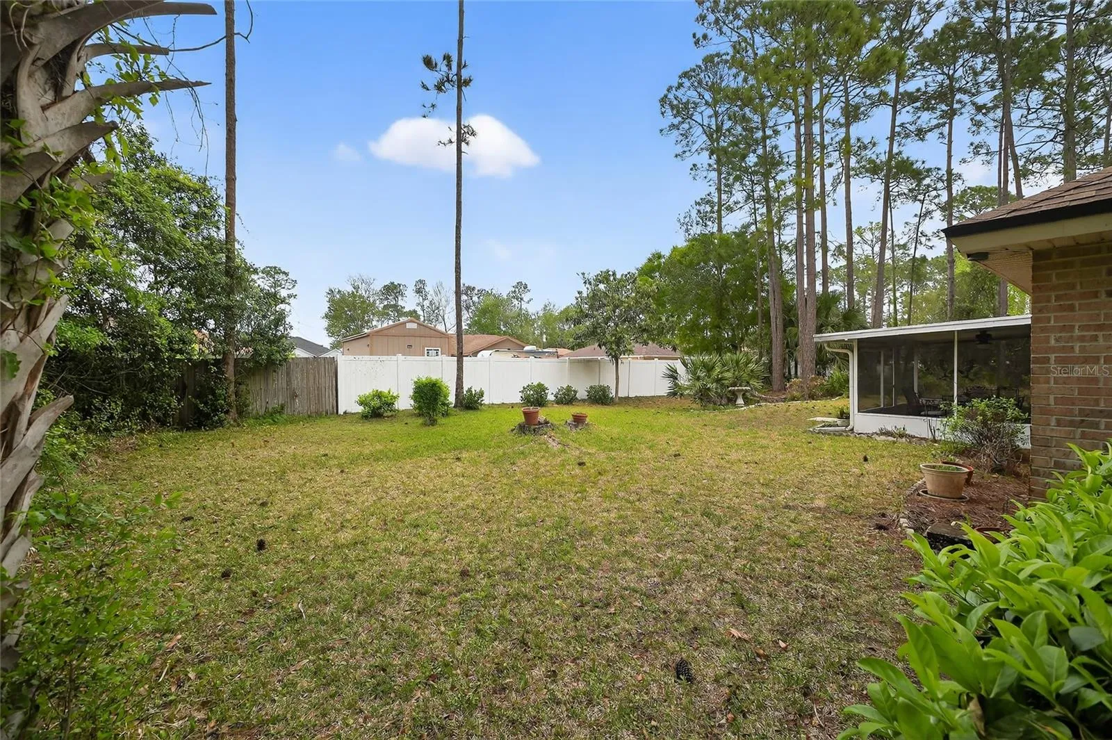 Backyard