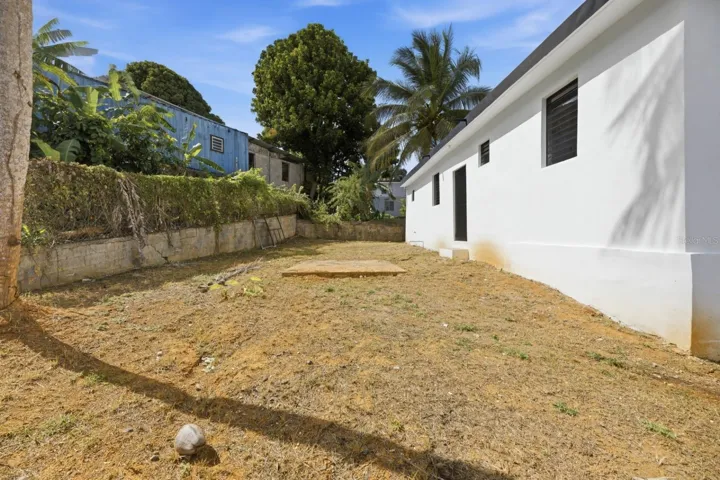 Back yard