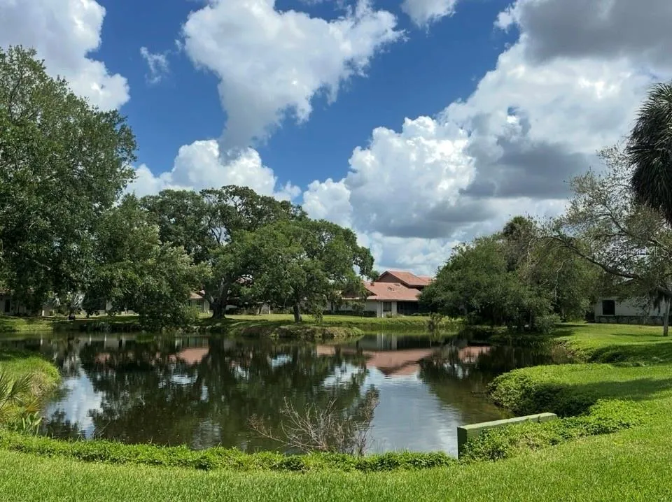 Lake View from residence