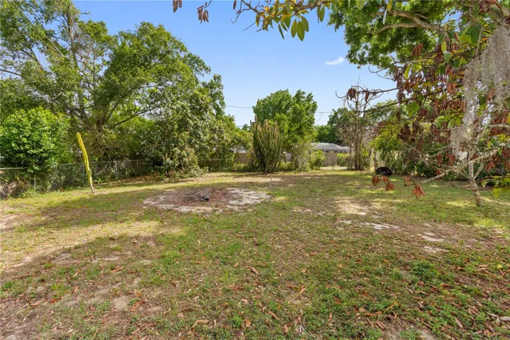 Back Yard