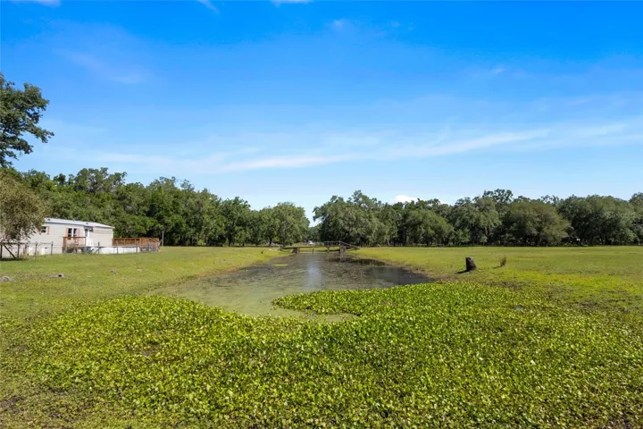 Pond