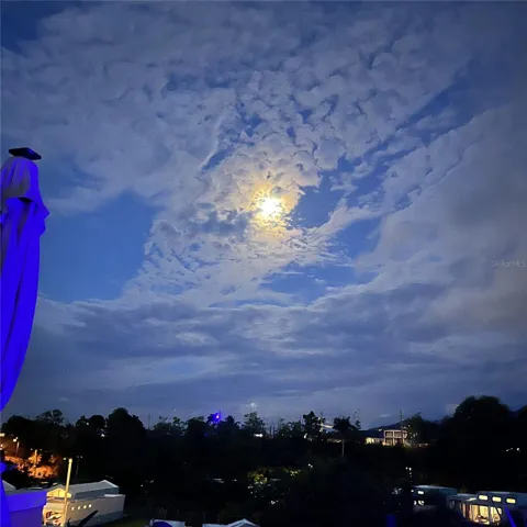 BEAUTIFUL NIGHT