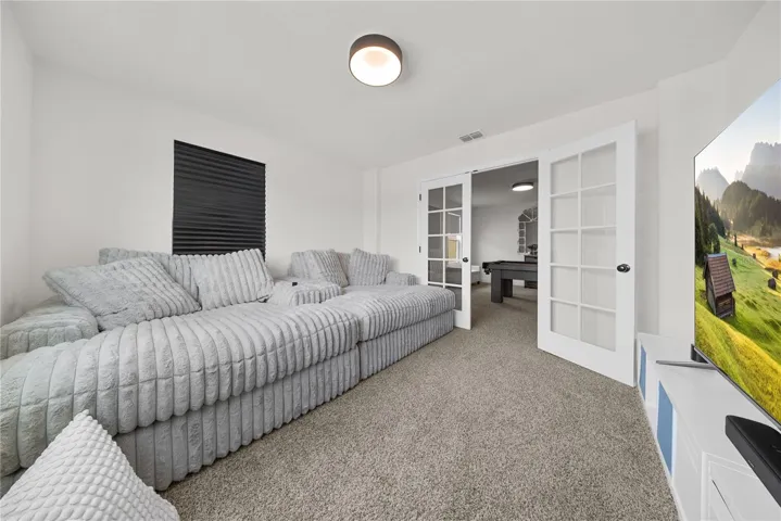 movie room