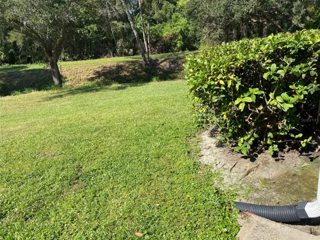Hope the grass is green like in the pic.