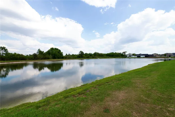 Pond Area