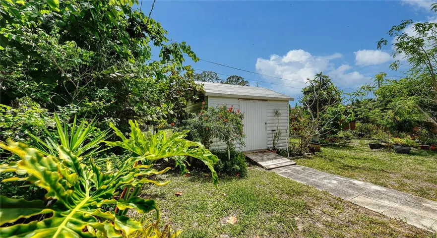Shed