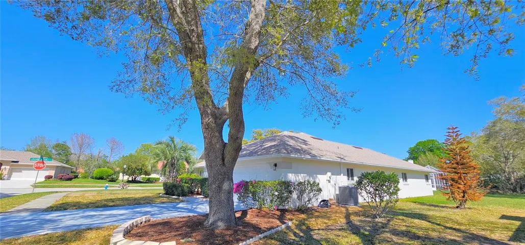 Side View of Home
