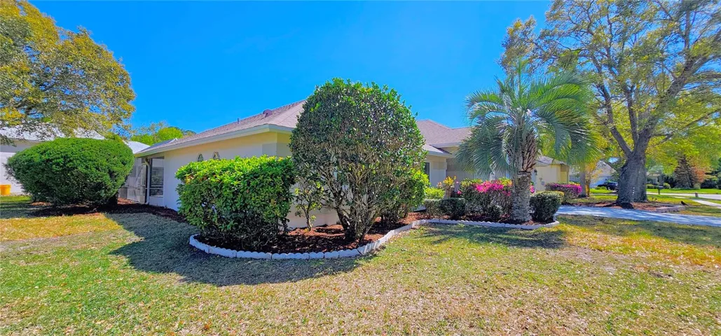 Mature Landscaping