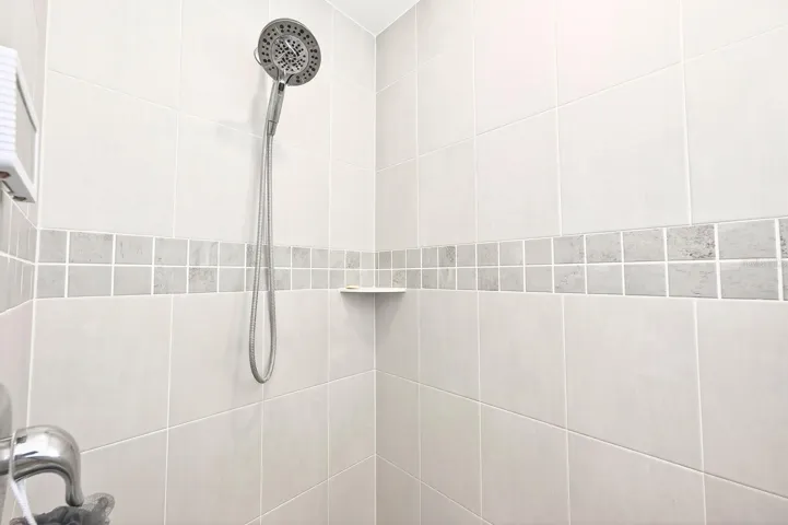 The Primary En Suite step-in shower.