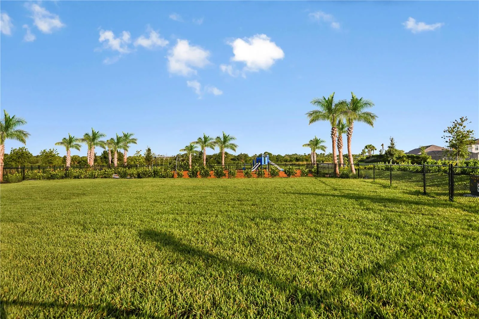 Cassia at Skye Ranch Community