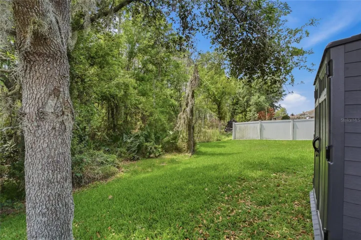 Backyard