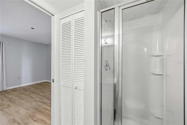 Guest bathroom (shower and linen closet)
