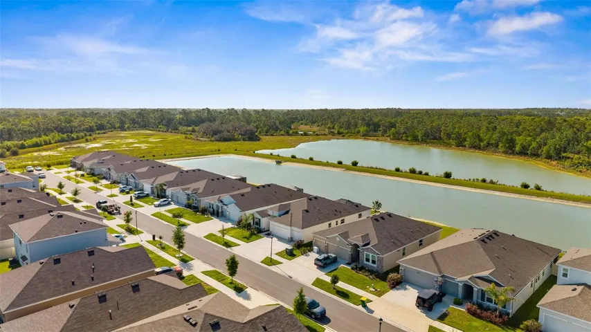 Neighborhood View