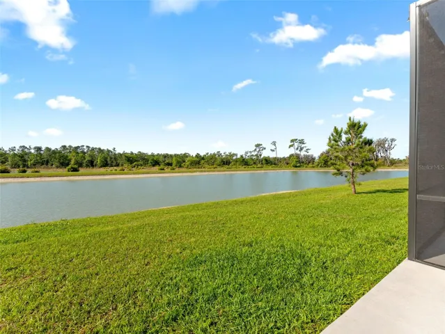 Backyard Pond View