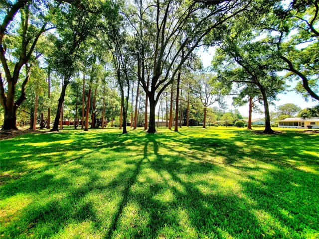 BEAUTIFUL PARK