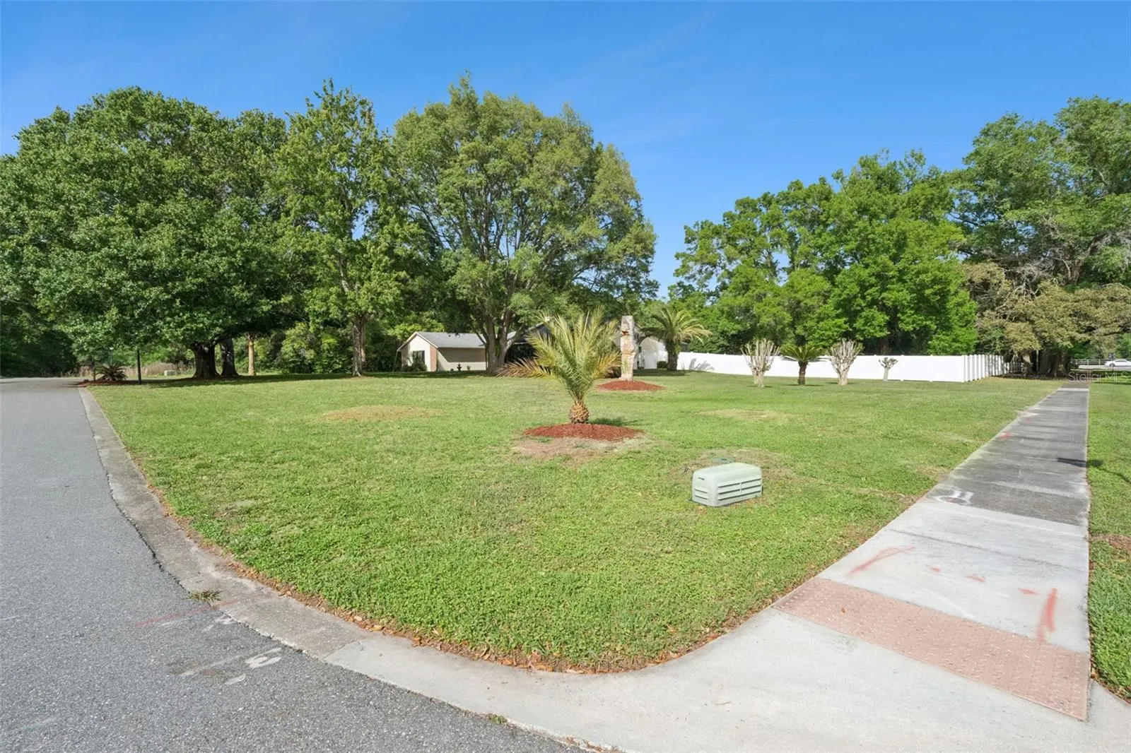Side Yard View