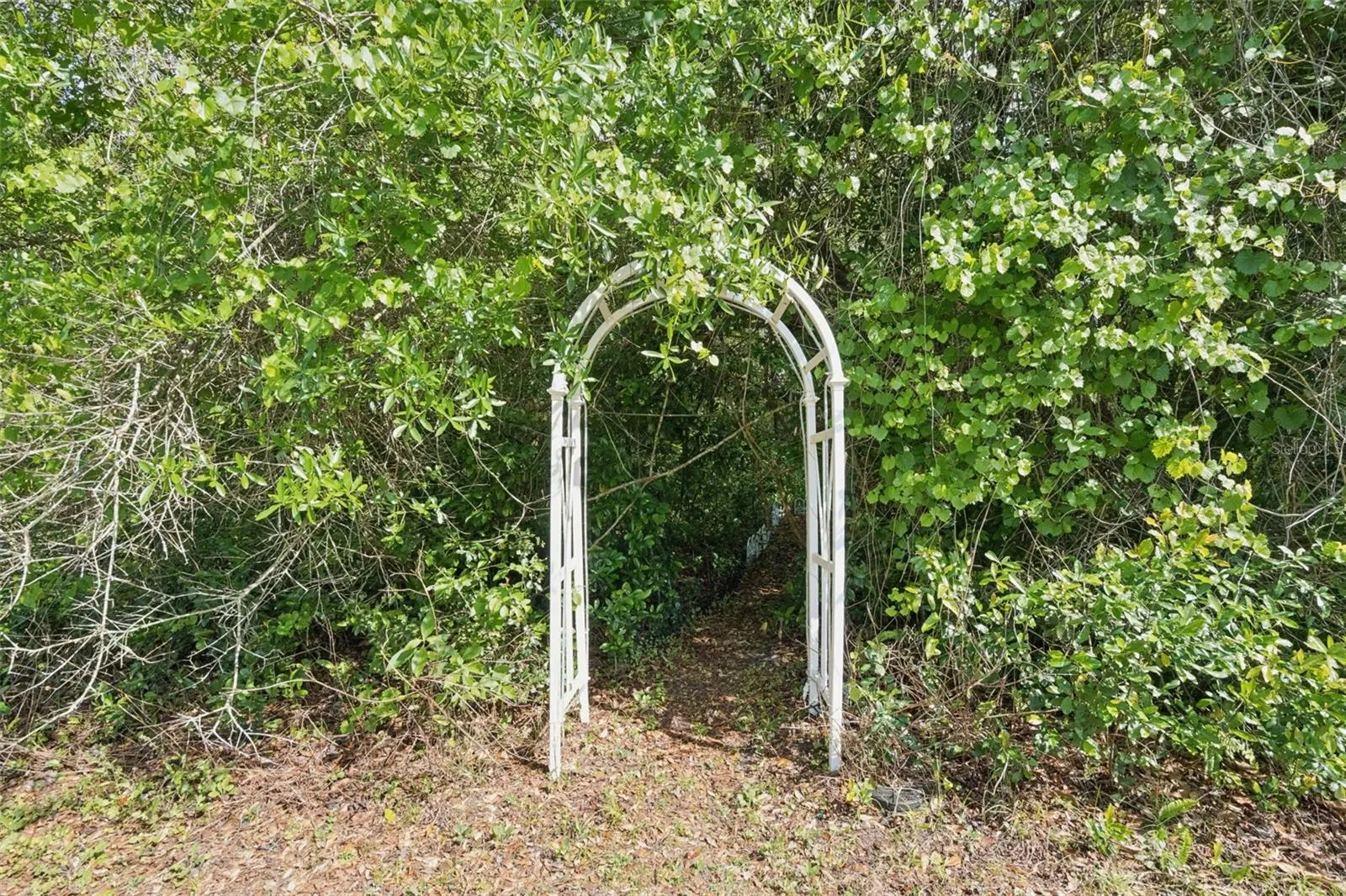 Private Secret Garden Entry