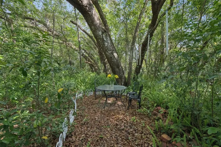 Peaceful Garden Seating Area