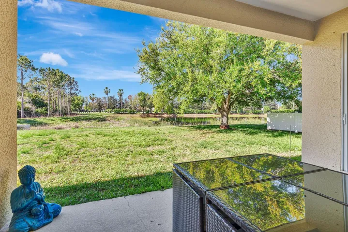 Back patio area facing preserve and lake
