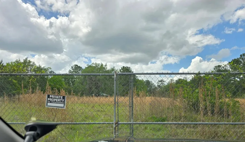 Front fence and gate