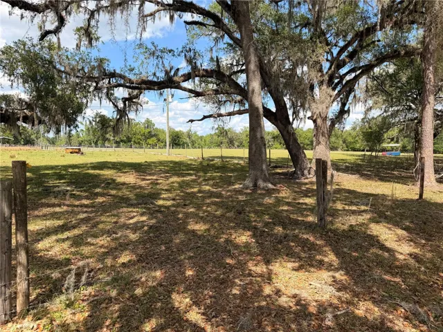 Back Property Line