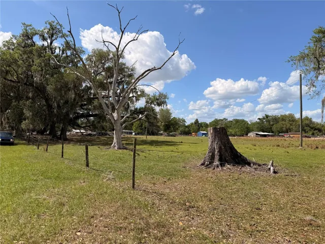 Back of property