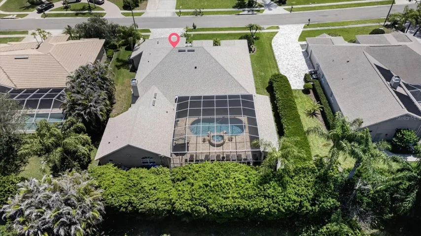 Huge Hedge in back of House for Privacy