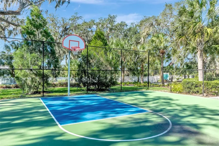 Basketball anyone??