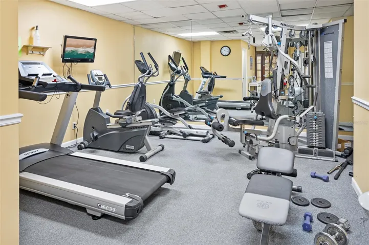 Exercise area