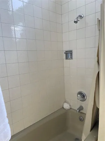 2nd bathroom tub