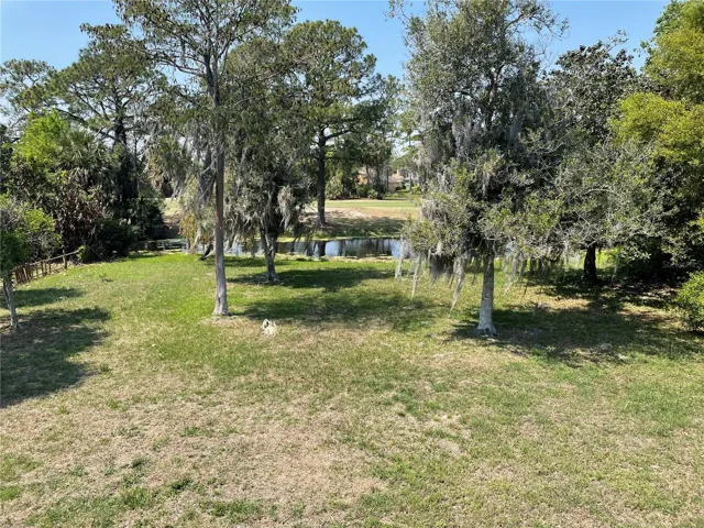back yard