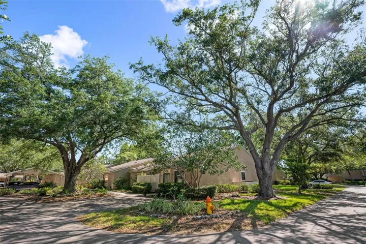 Tallywood Neighborhood