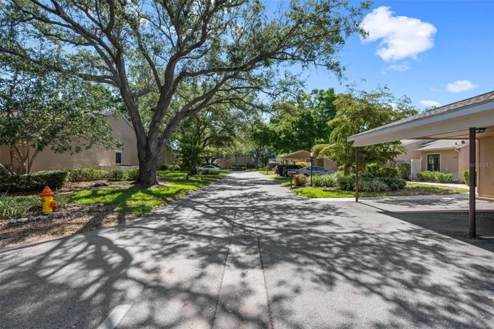 Tallywood Neighborhood