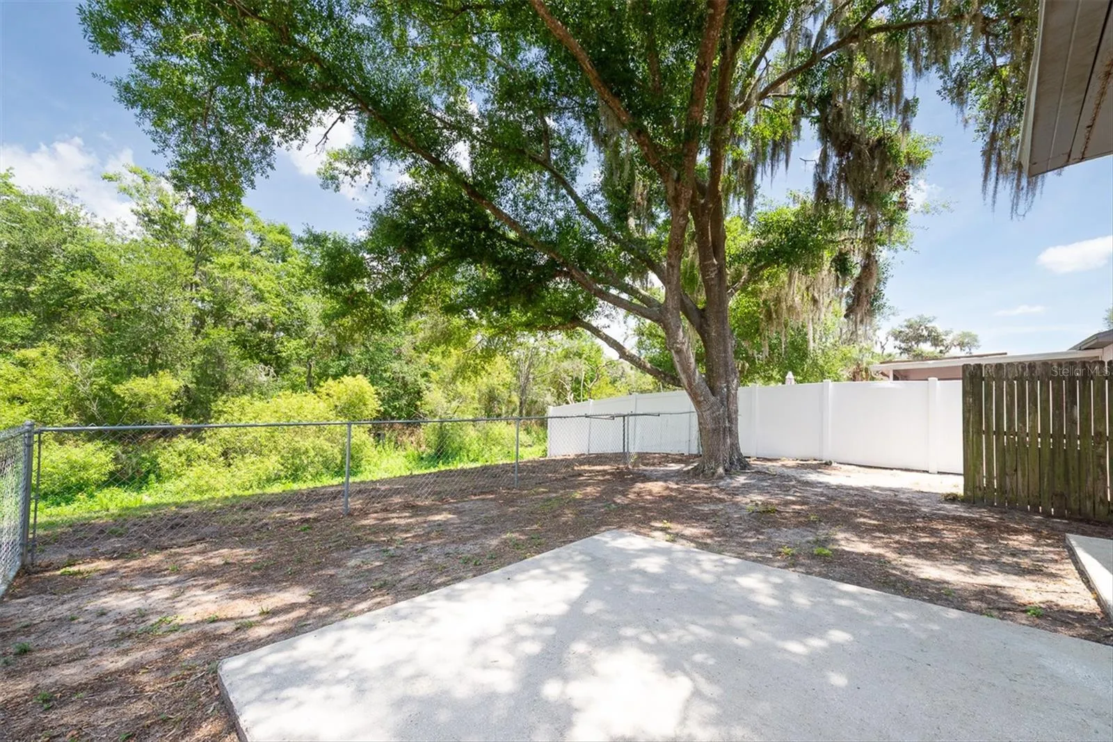 Backyard View
