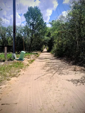 DIRT ROAD car