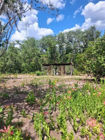 Dog Pen