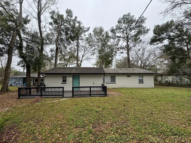back yard